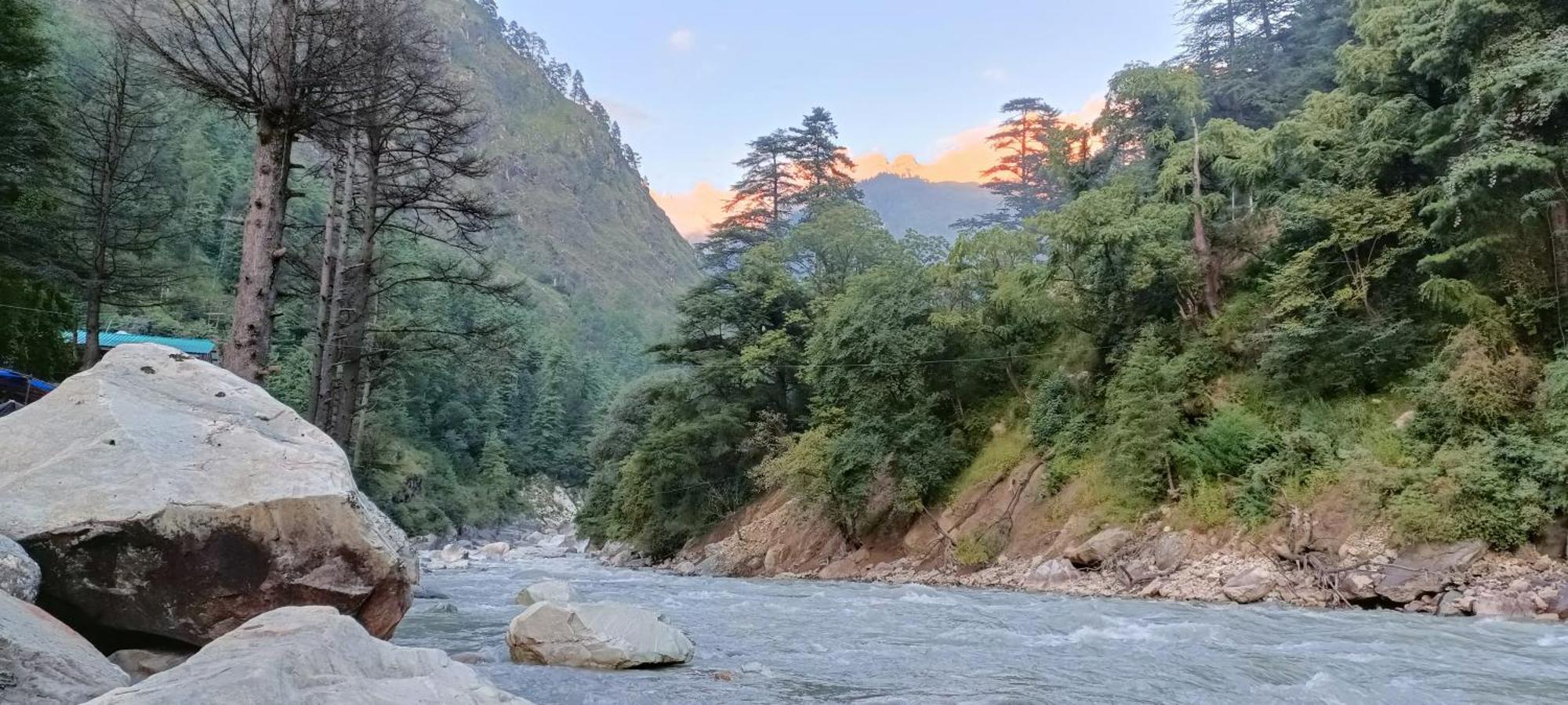 Dog N Hill Hotel Kasol Exterior photo